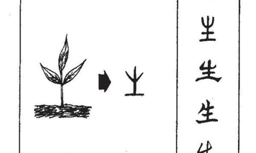 罗麦石项链多少钱一个-罗麦石项链不能乱戴专区_罗麦项链图片专区_罗麦项链的功效网
