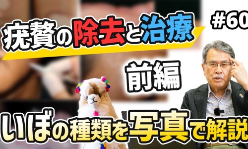 罗麦产品的功效与作用-罗麦石项链不能乱戴专区_罗麦项链图片专区_罗麦项链的功效网