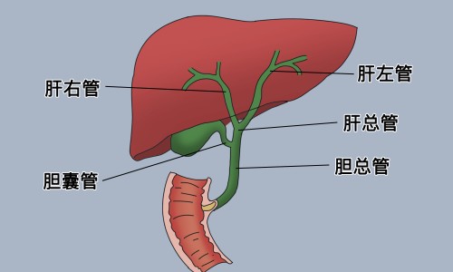 罗麦石项链不能乱戴-罗麦石项链不能乱戴专区_罗麦项链图片专区_罗麦项链的功效网
